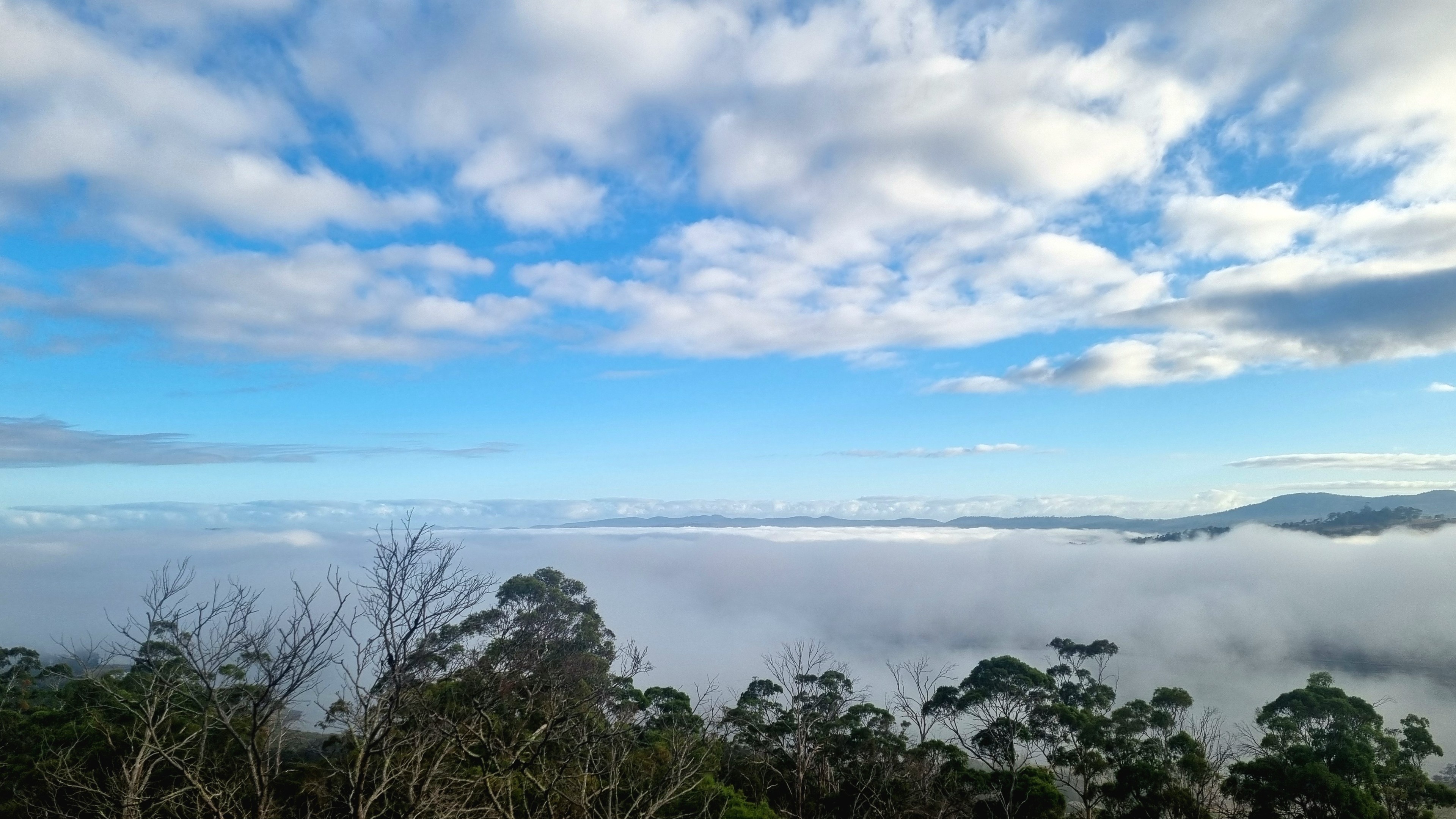 Under blue skies with scattered white clouds sits a covering of fog. Some trees can be seen silhouetted in the foreground, while the peaks of hills are just rising above the fog layer 