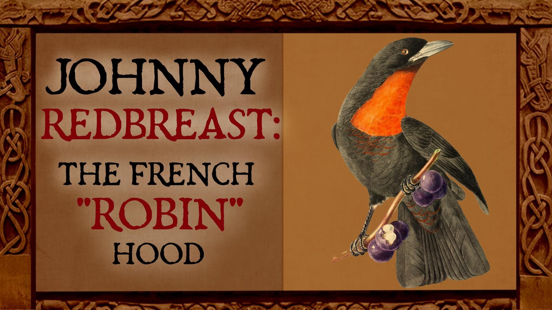 A realistic drawing of a redbreasted blackbird perched on a berry bush branch. Overlaid text: Johnny Redbreast: The French "Robin" Hood