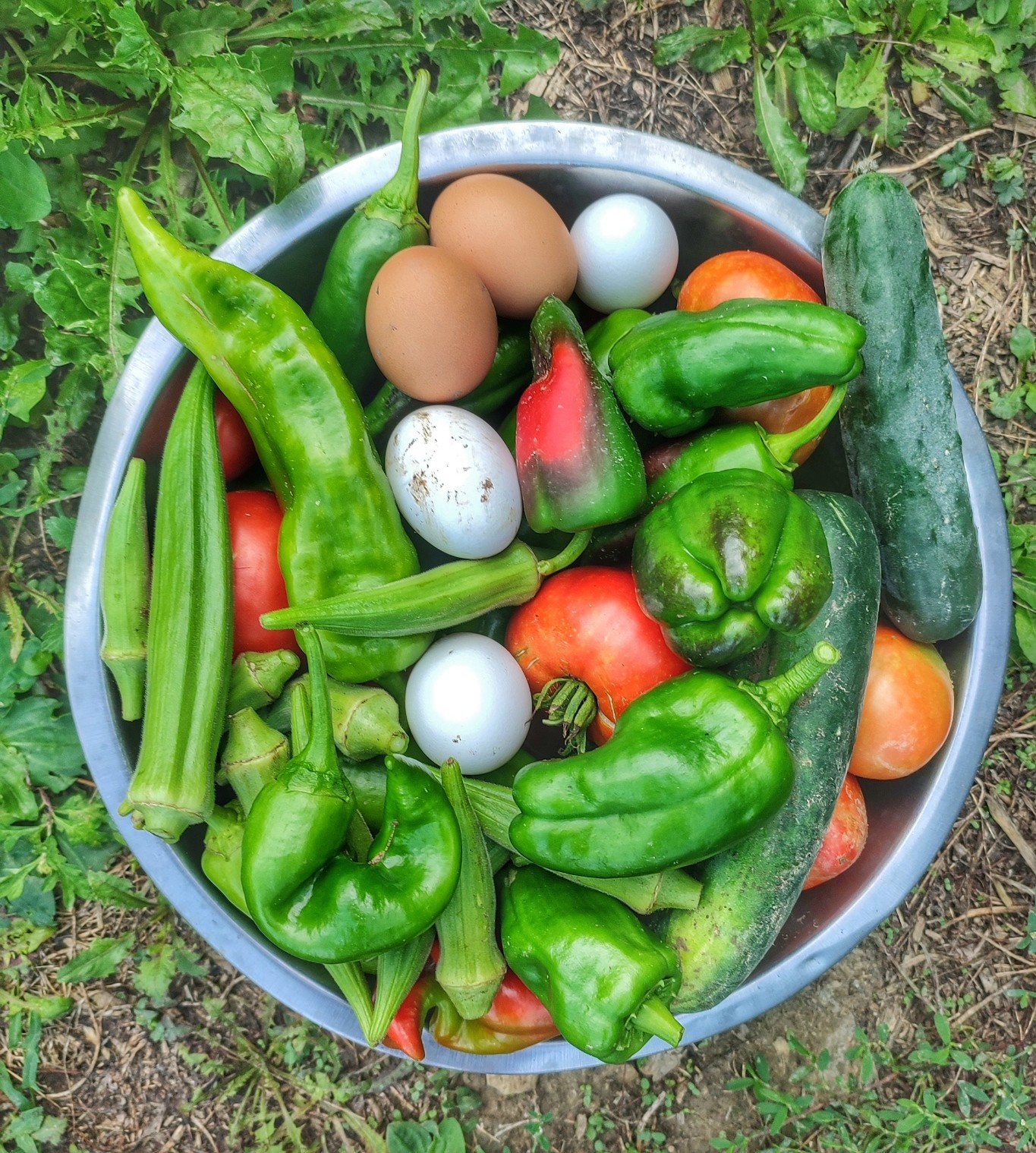 A metal bowl full of tomatoes, protests, okra, cucumber, and fresh eggs,  photographed from above.