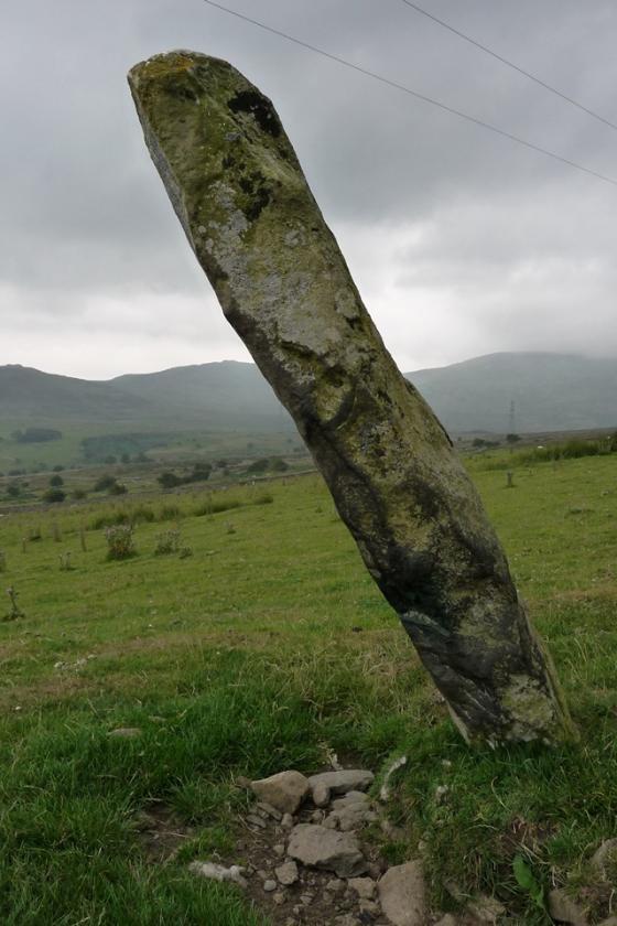 A slender grey-green standing stone. It would be about 7 feet tall but is leaning over at an alarming angle. The base is at the bottom right of this portrait image, the top of the stone is top left. It stands in a grassy field, bounded by a drystone wall in the background. Beyond that, a mountain ridge rises, dark and forbidding, its top partially obscured by clouds. It's very overcast.