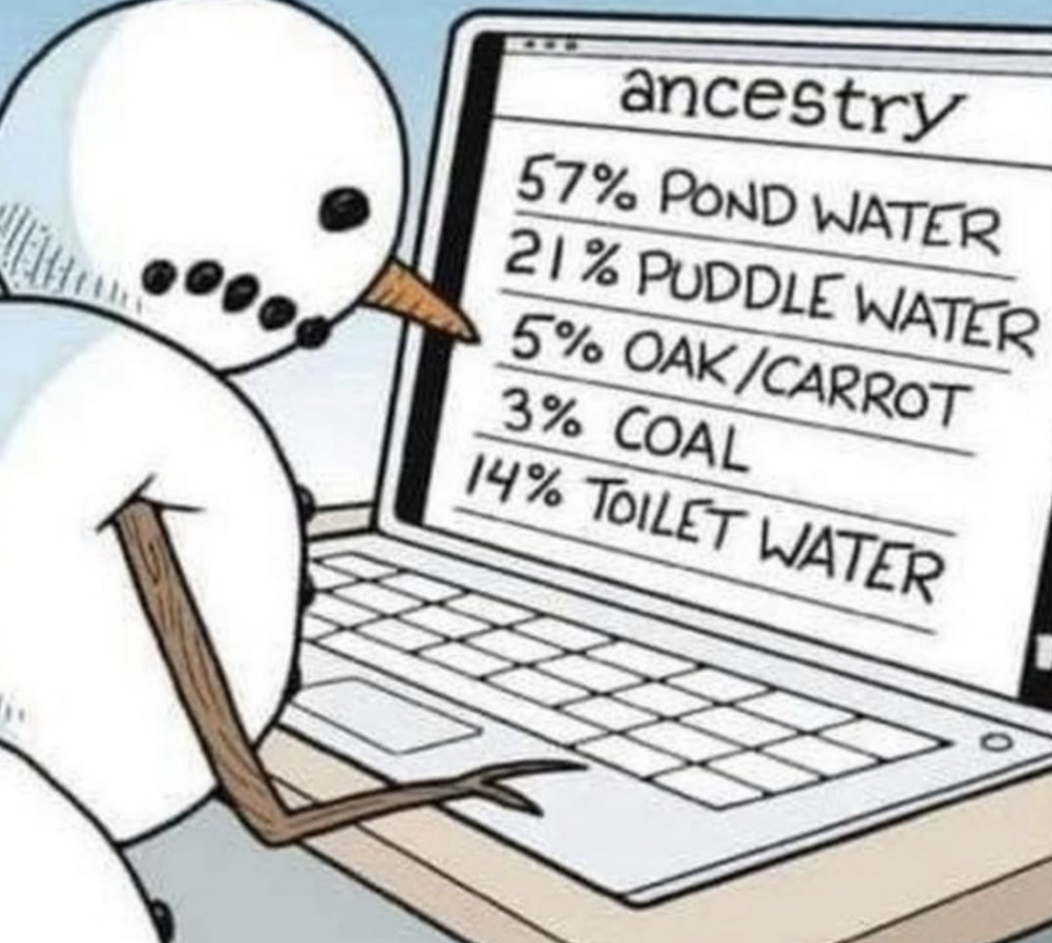 Cartoon of snowman checking his ancestry. The computer screen reads 
57% pond water
21%puddle water
5% oak/carrot
3% coal
14% toilet water