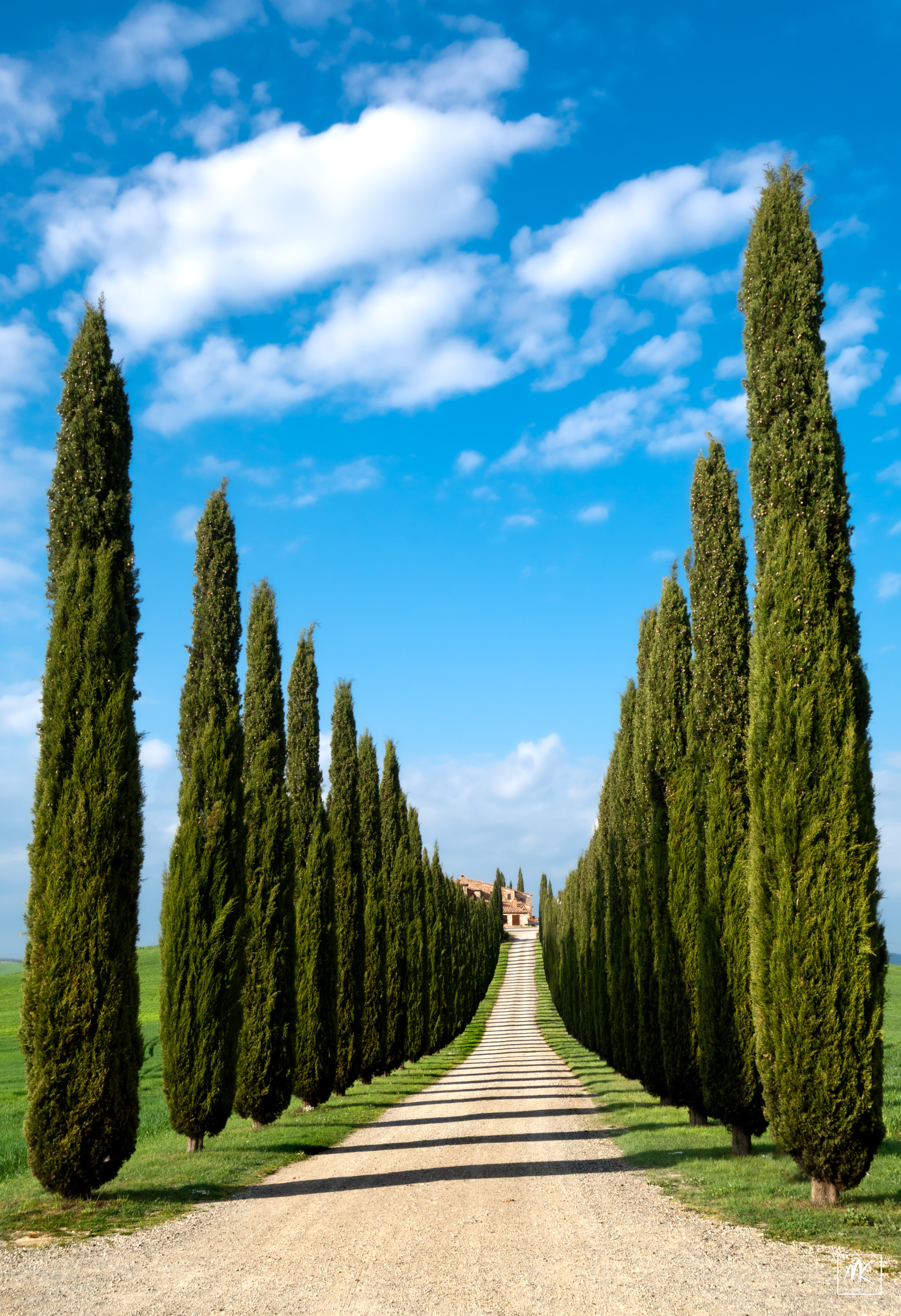 Color photo looking up a dirt road leading to a house. The road is  lined on either side with tall, thin Mediterranean cypress trees that are casting shadows across the road. The sky above is blue with a few clouds. 