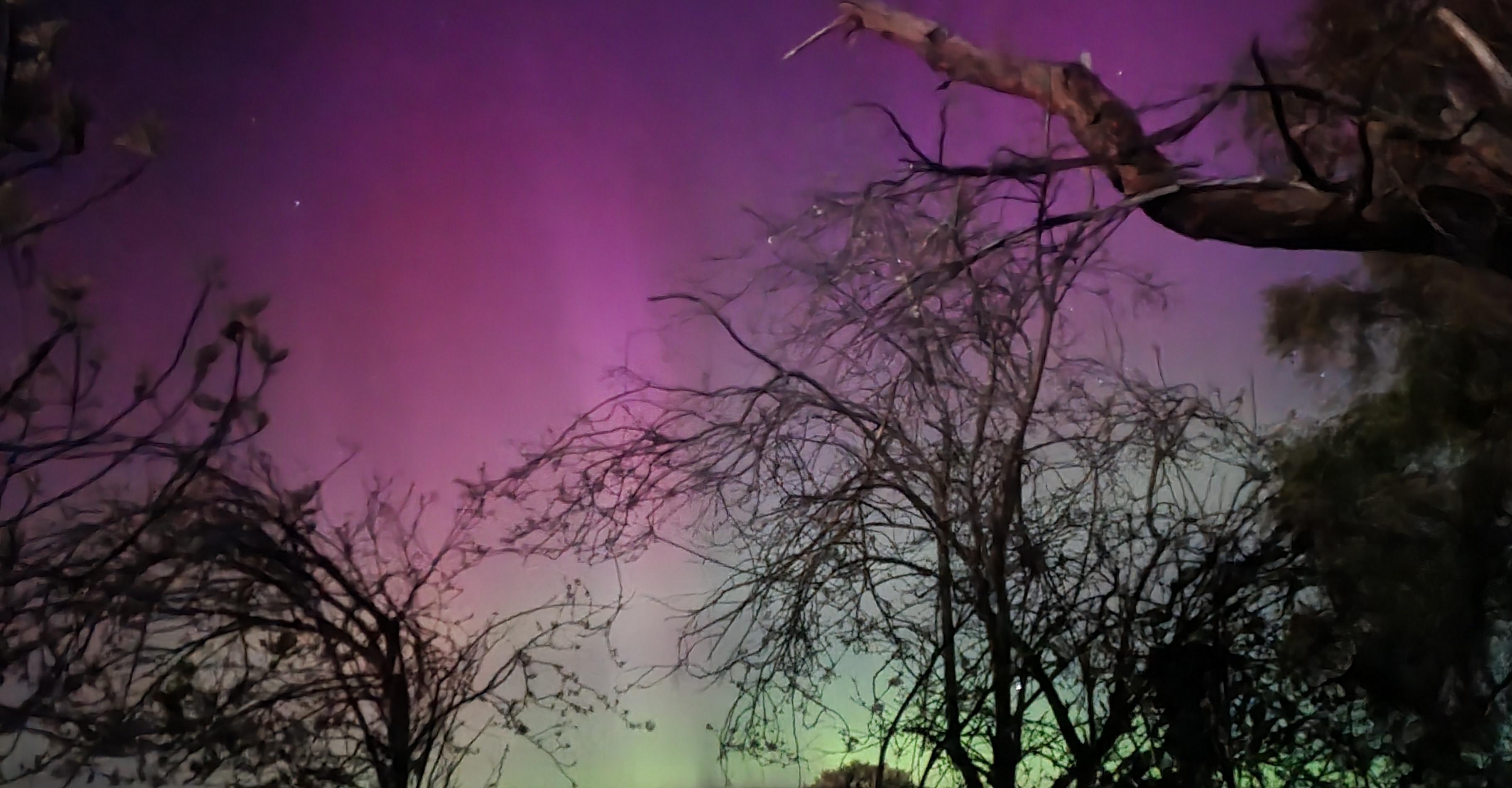 Trees silhouetted in front of an aurora light show. Neon green near the horizon and bright pink above. There are clear columns cutting through the colours 