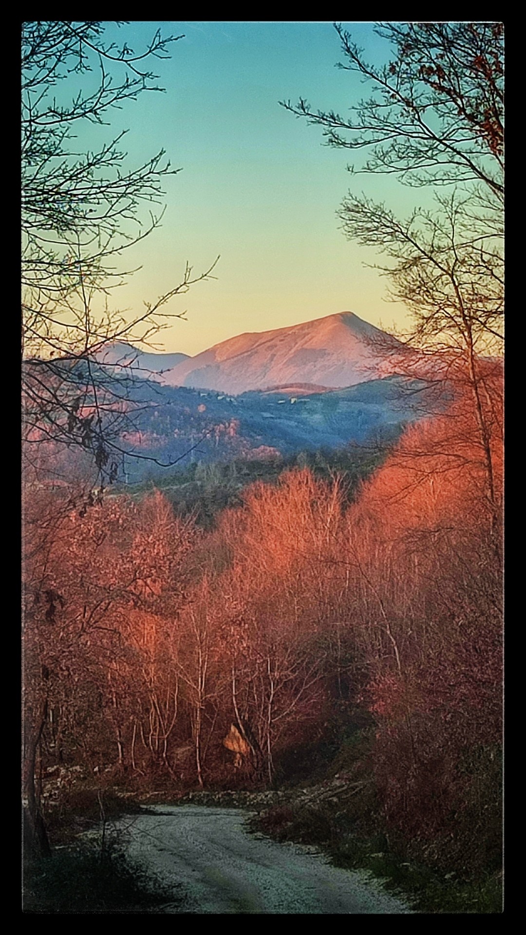 In the distance, on the horizon, a mountain peak illuminated by the setting sun. In the foreground a winding gravel road, red sun illuminated trees, and beyond rolling blue green hills.