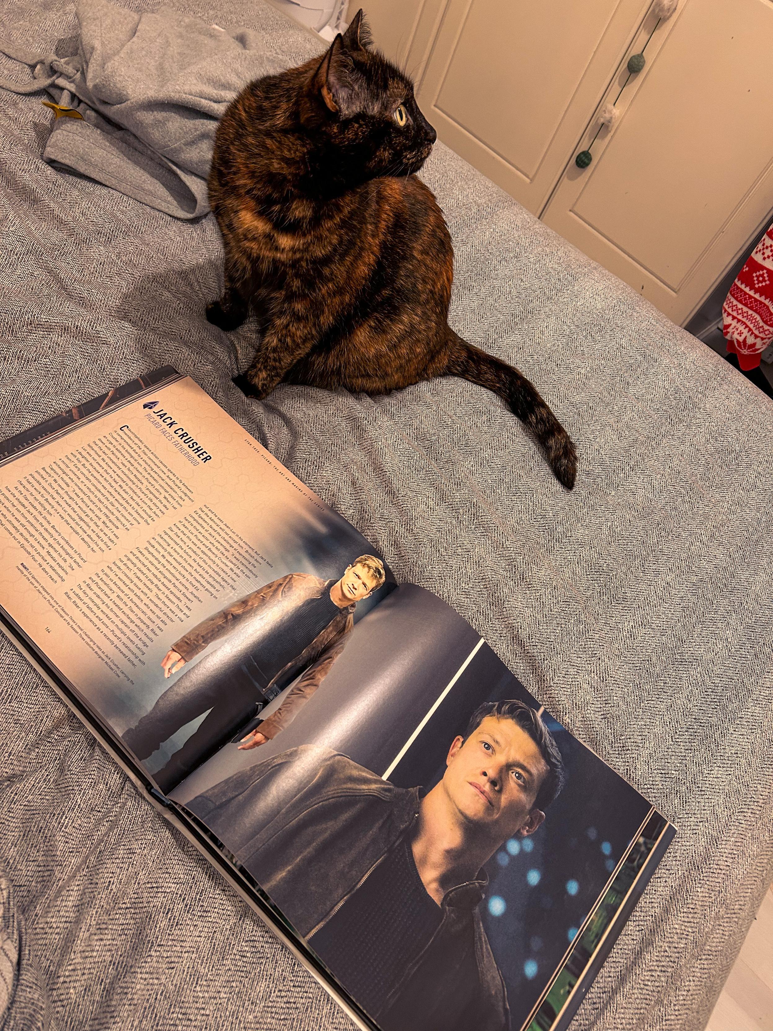 A hardcover book is open on a bed with a grey herringbone-patterned blanket. The left page features an article titled “Jack Crusher” with accompanying text and an image of a character in a brown jacket and black shirt. The right page shows a larger image of the same character. A tortoiseshell cat sits on the bed, looking to the side.