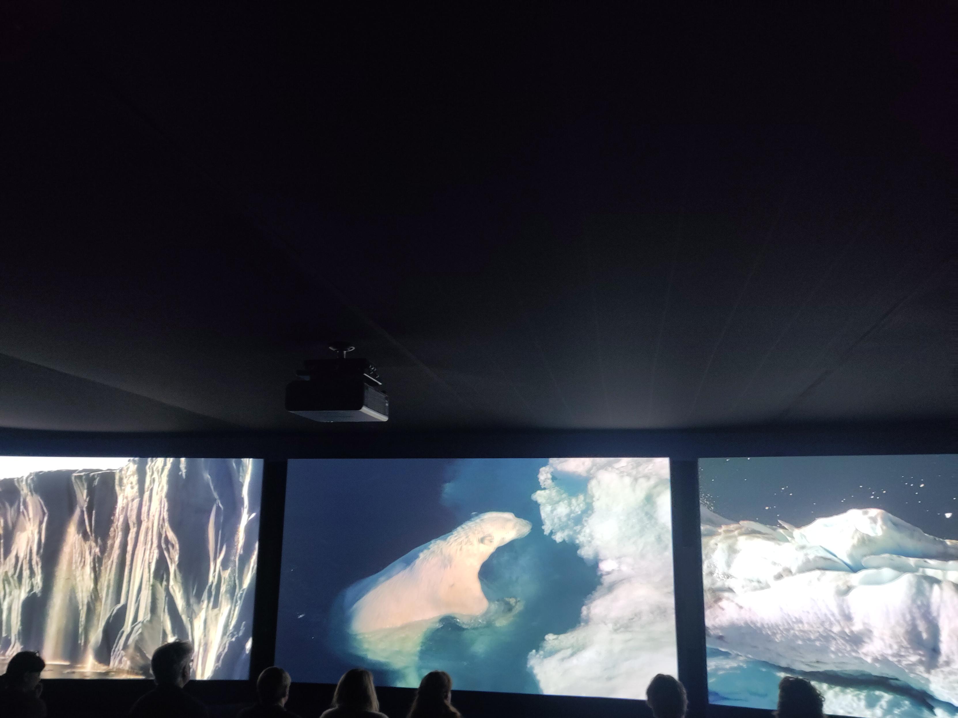 Three screens in a row showing high definition video of icebergs on either side and a polar bear in the centre. People's heads are visible at the bittom