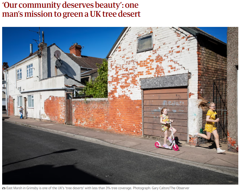 Article header: 
‘Our community deserves beauty’: one man’s mission to green a UK tree desert'

Image is a treeless street, blue skies, with two children playing running scooting, one following up walking behind. Gable end of a white paint peeling garage and its doors.

Photo caption: East Marsh in Grimsby is one of the UK’s ‘tree deserts’ with less than 3% tree coverage. Photograph: Gary Calton/The Observer

In Grimsby, locals have created a society focused on the environmental and health benefits more trees provide, planting thousands in schools, parks and hedgerows