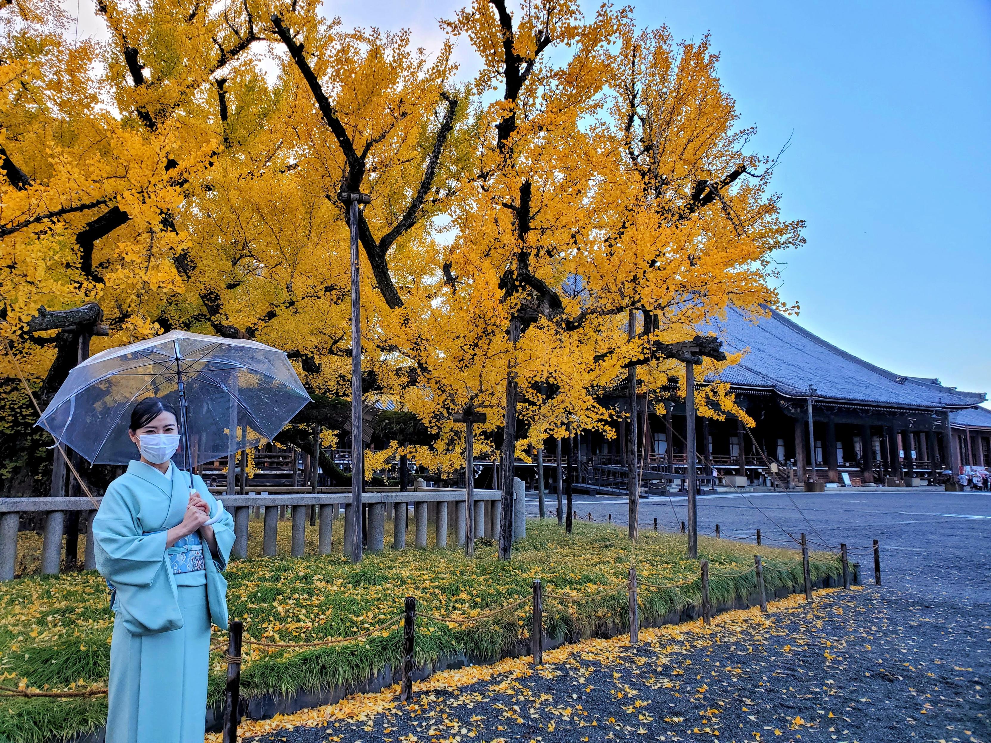 Nao-san poses in front of Nishi Hongan-ji's 'upside down ginkgo'.