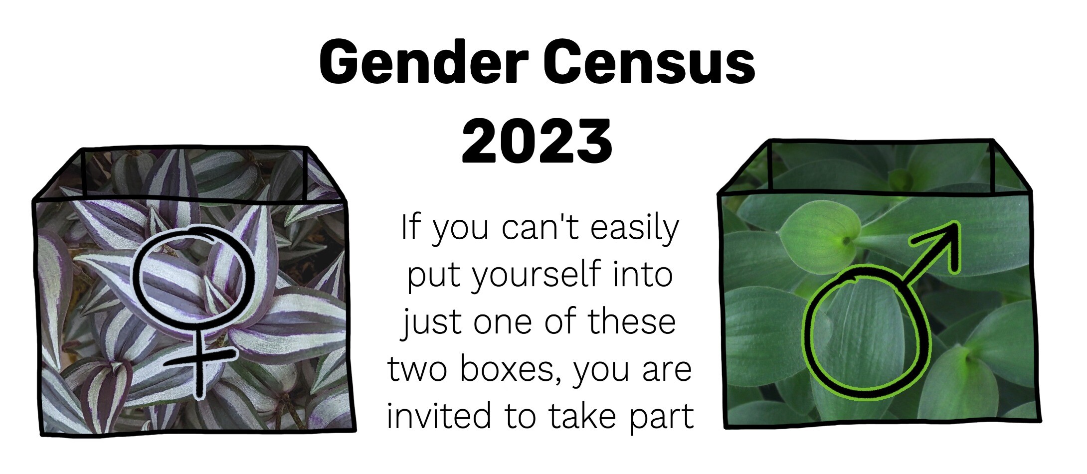 Image title: Gender Census 2023.
Image text: If you can't easily put yourself into just one of these two boxes, you are invited to take part.
On the left, a box textured with purple and silver striped leaves, featuring a Venus/female symbol. On the right, a box textured with plain soft green leaves, featuring a Mars/male symbol.