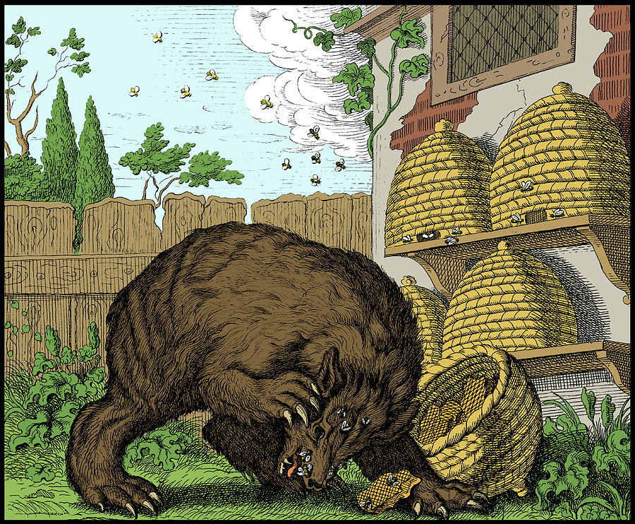 Illustration of the bear and bees fable showing a brown bear who has tried to steal some honey and found himself on the receiving end of quite a number of angry bees.