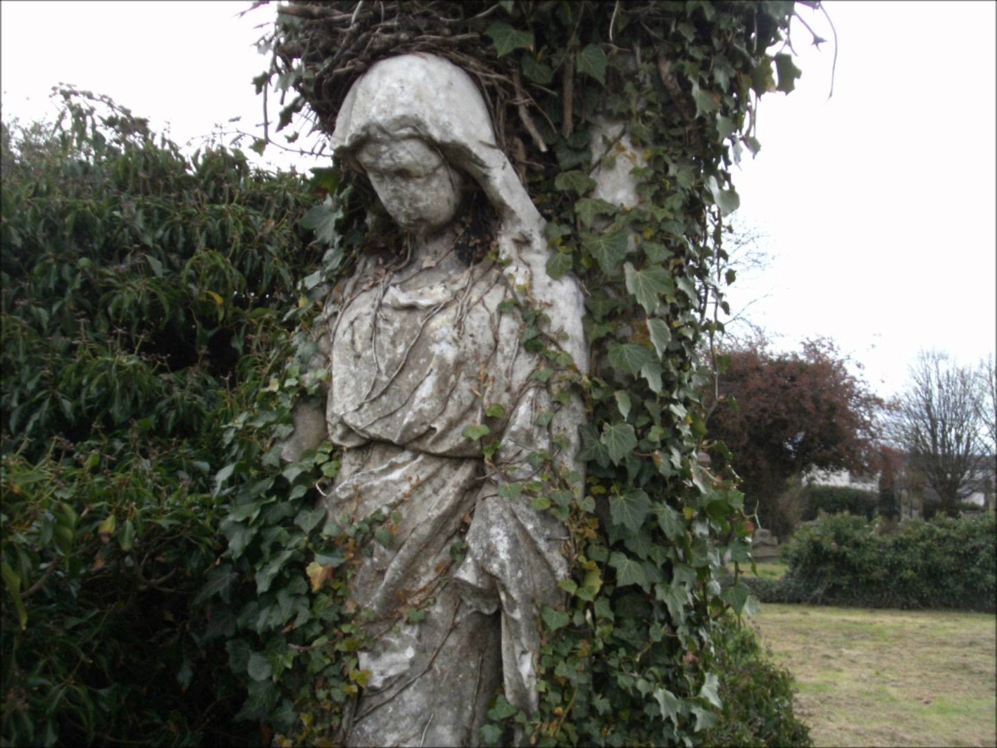 A sculpted female figure in Glasgow's Southern Necropolis, entangled with ivy.