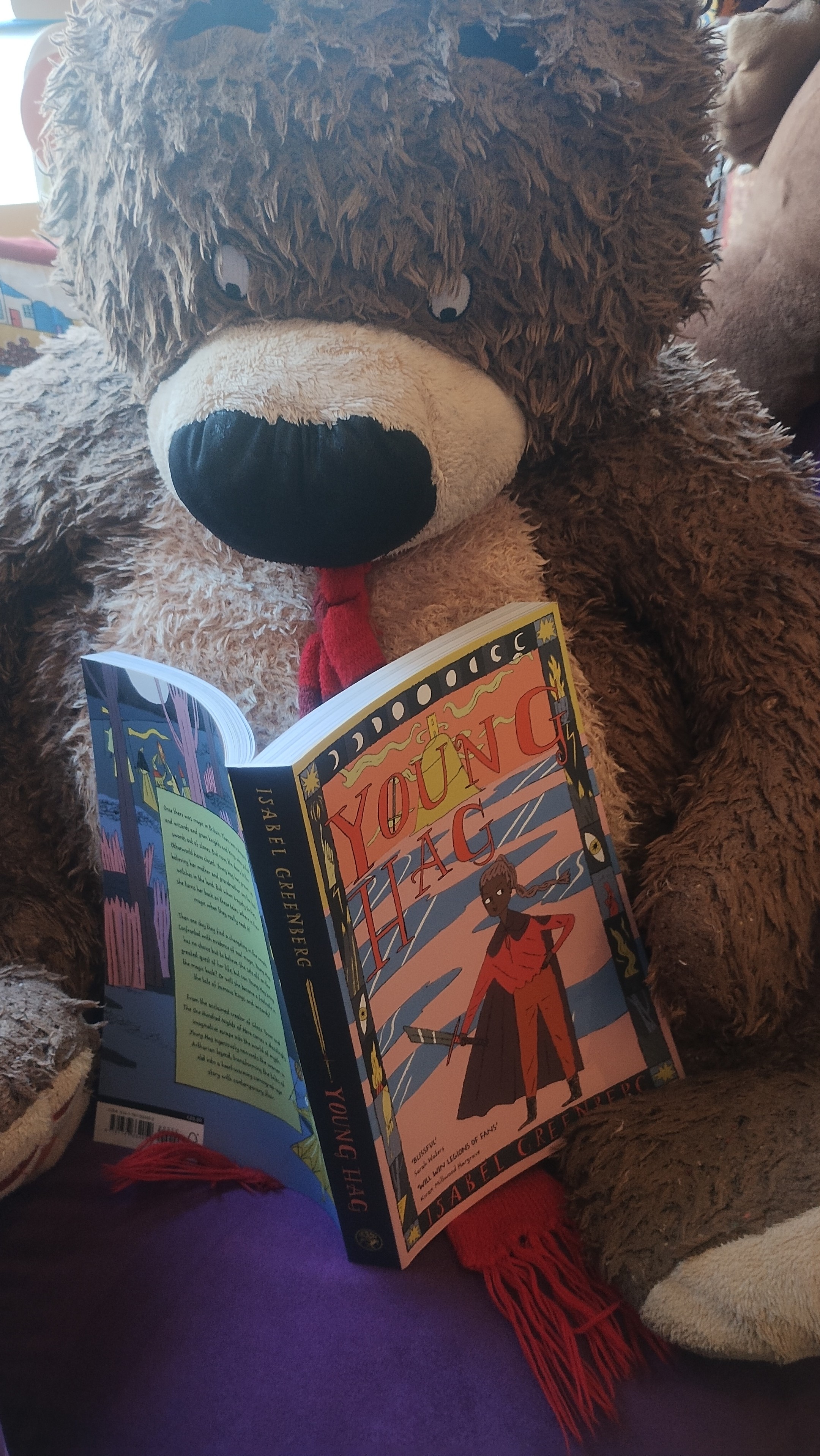 Cuddly Hugless DOuglas teddy bear holding up a copy of the graphic novel Young Hag by Isabel Greenberg in the Edinburgh Bookshop